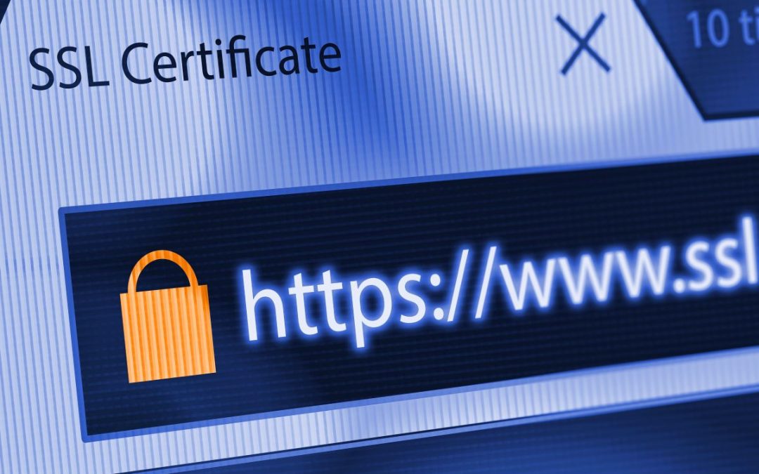Website Security: What is an SSL?
