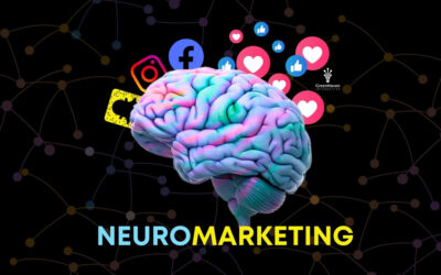Neuromarketing and SEO: Understanding User Psychology to Boost Rankings